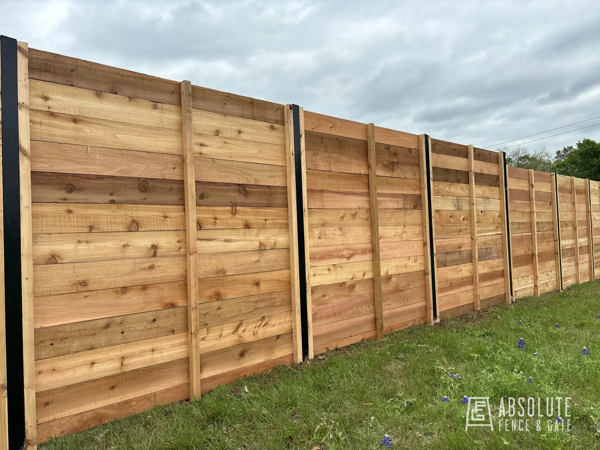 All — Horizontal Fence Bluebonnets