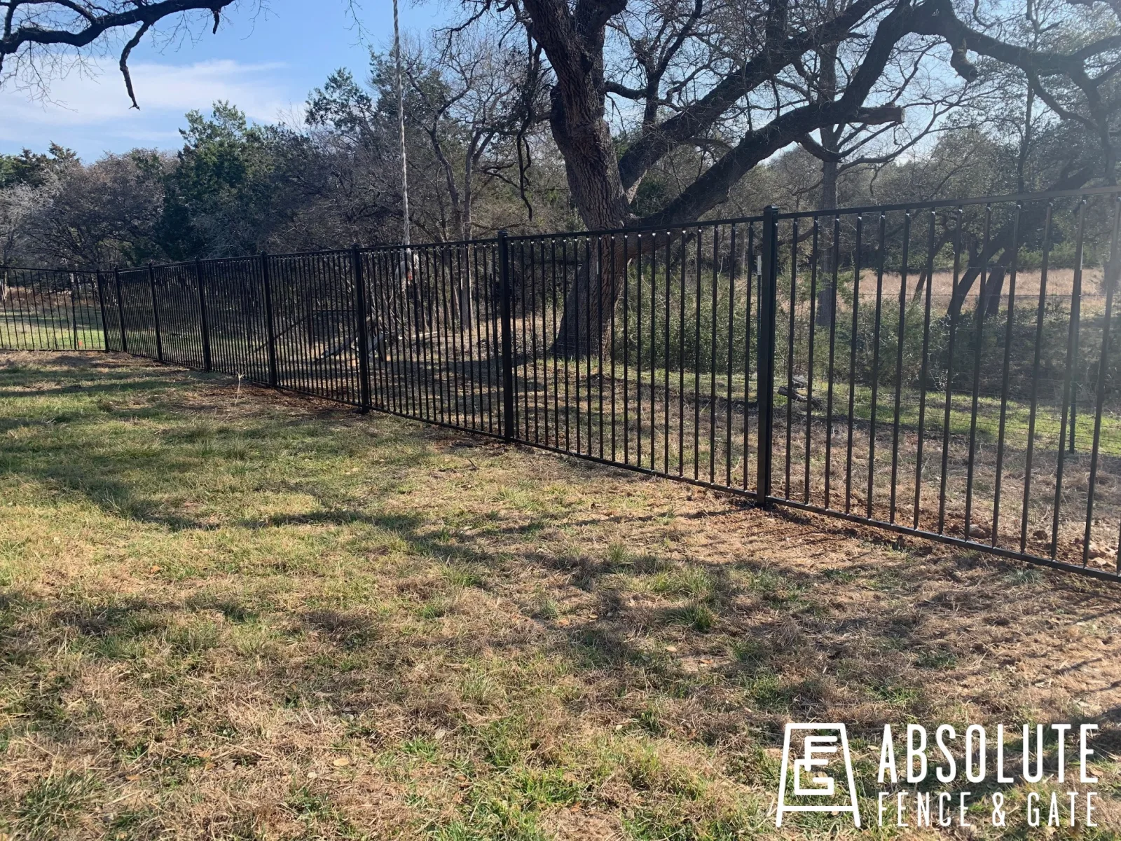 Black ornamental steel fence along a wooded lot with oak trees